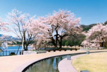 津久井湖周辺(県立津久井湖城山公園）