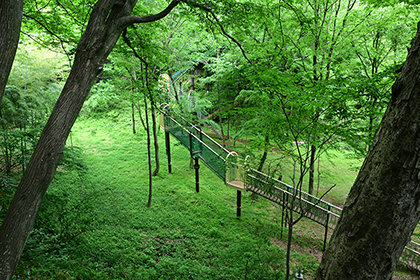 リスの道風景