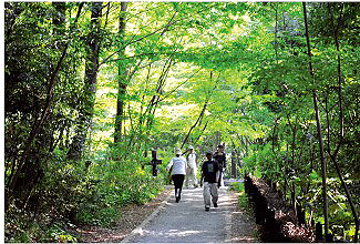 座間谷戸山公園