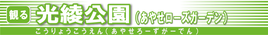 光綾公園（あやせローズガーデン）バナー
