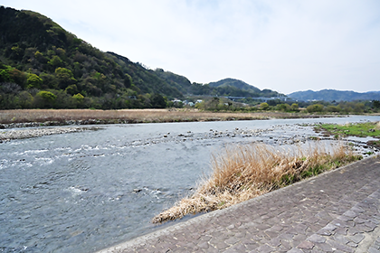 キャンプ場横から眺めた相模川の風景