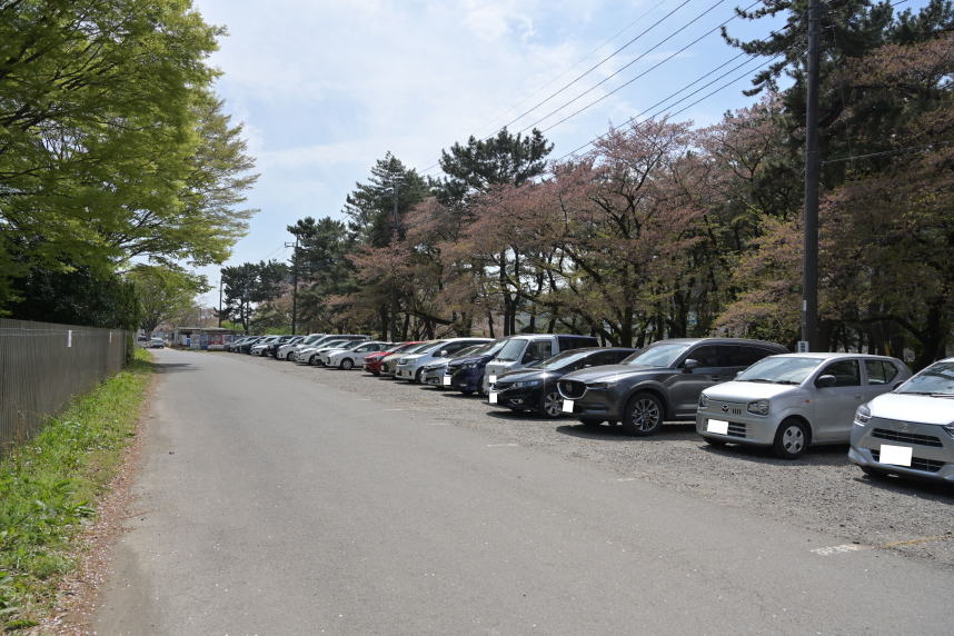 駐車場の様子