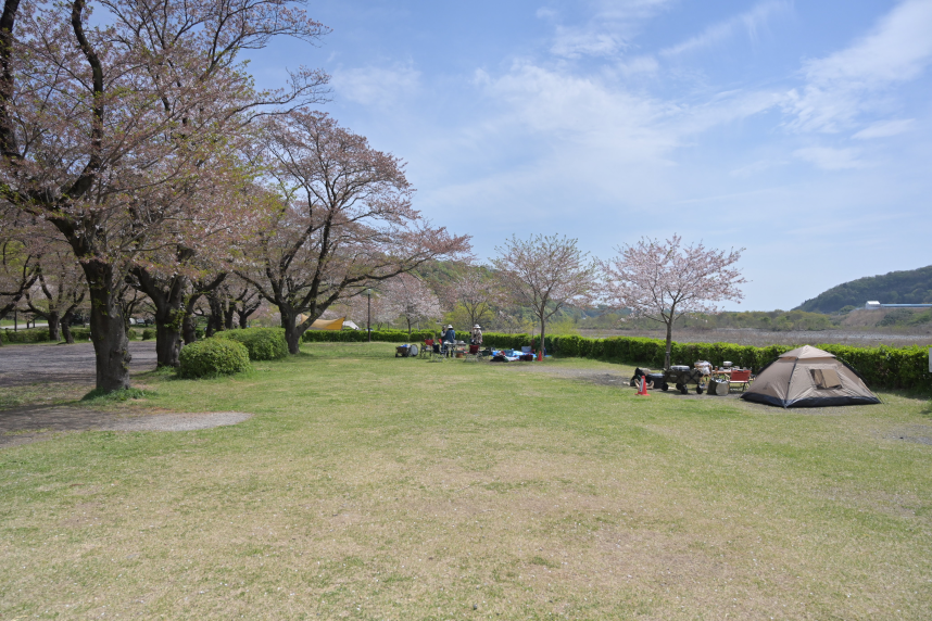 上大島キャンプ場の様子