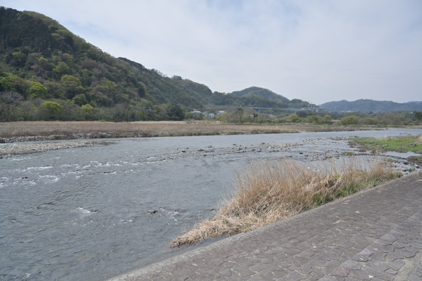 キャンプ場横を流れる相模川