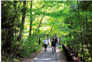 座間谷戸山公園