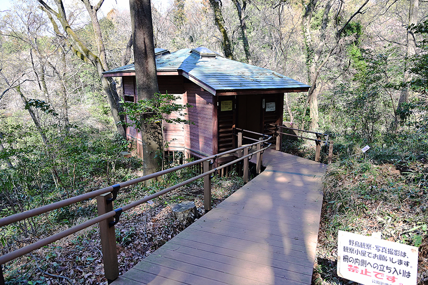 観察小屋1