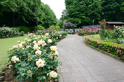 城山公園
