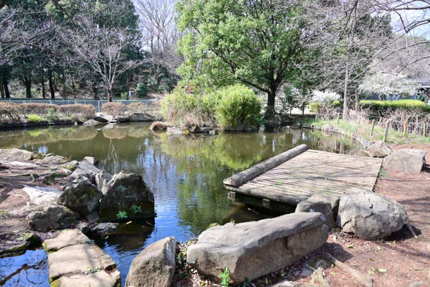 公園内にある池