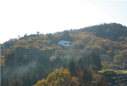 藤野園芸ランド