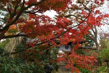 常泉寺