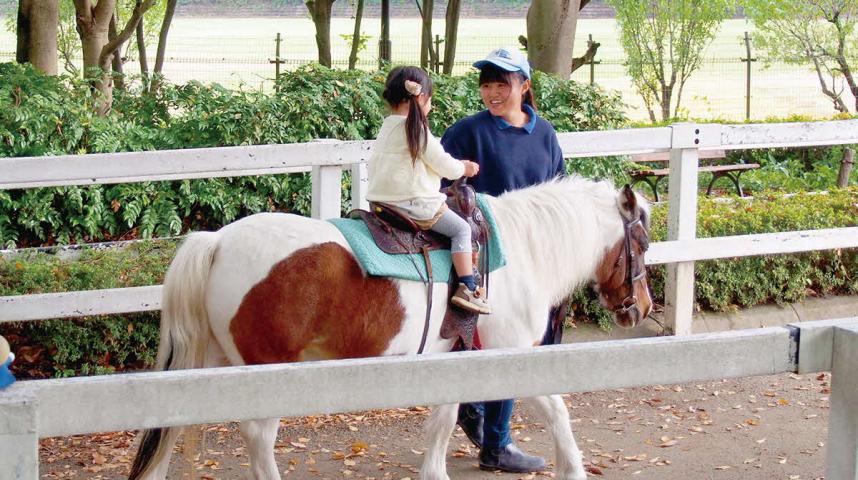 ポニー乗馬の風景