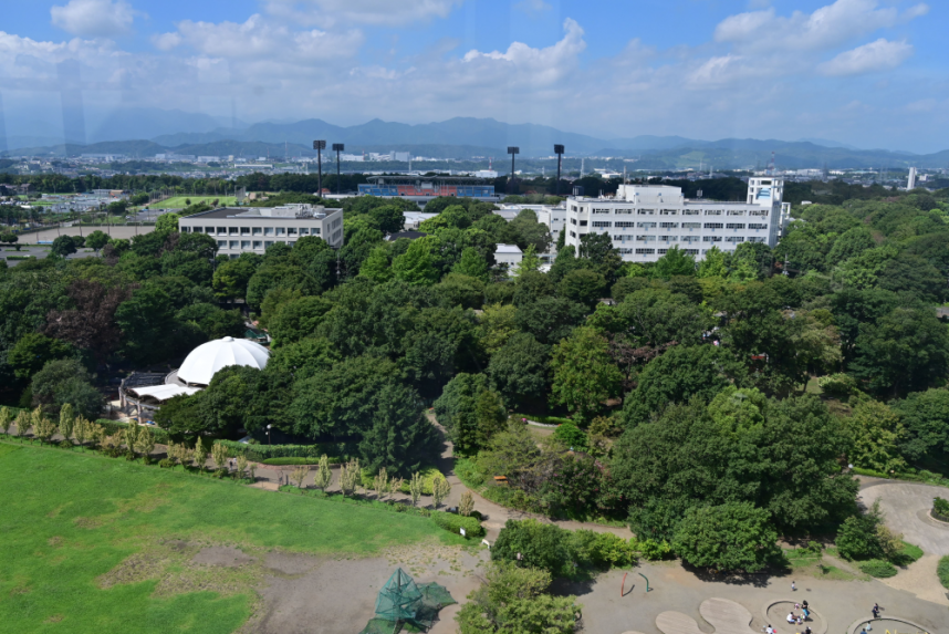 展望塔からの遠景