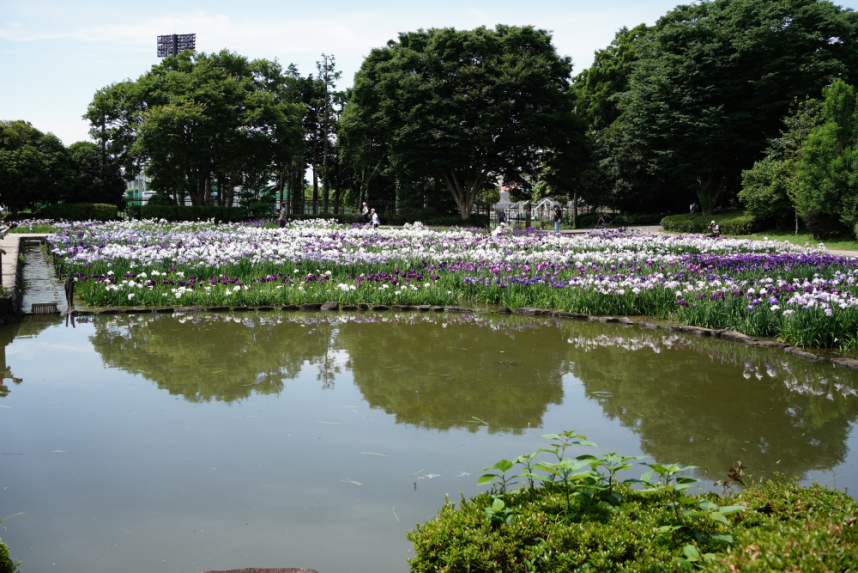 水無月園入り口からの風景