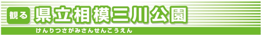 県立相模三川公園