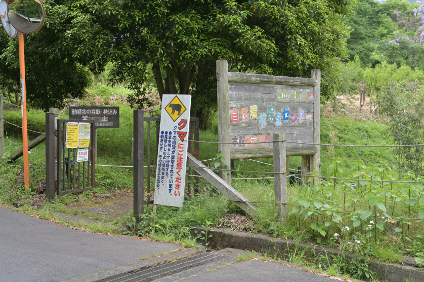 自然観察園の様子