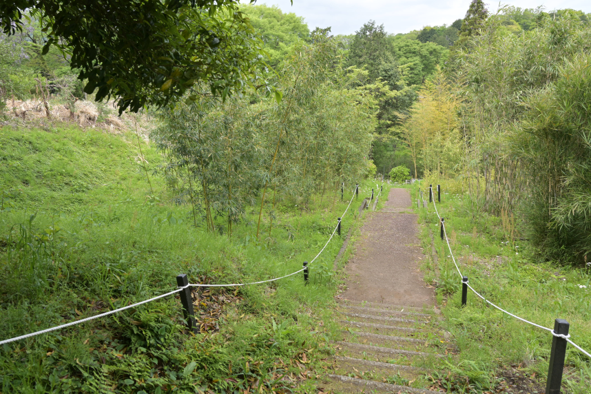 自然観察園