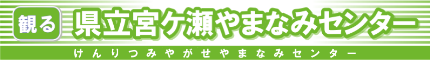 県立宮ケ瀬やまなみセンター