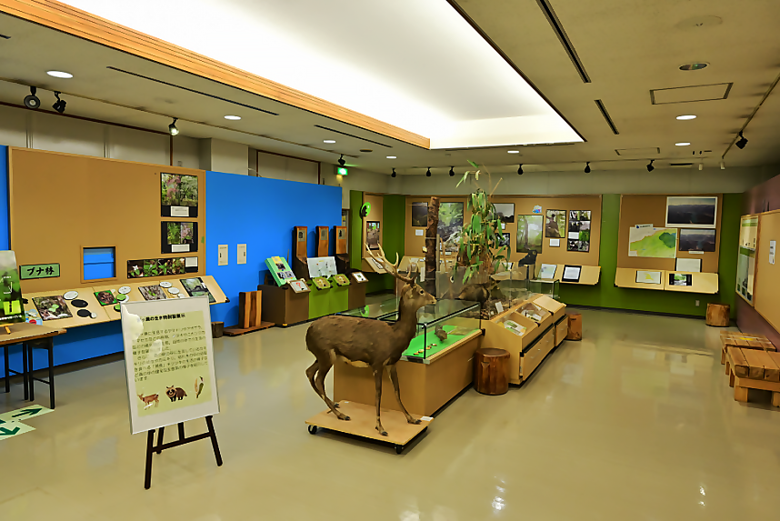 自然観察コーナーの様子