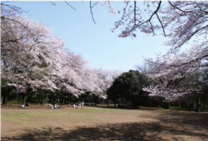 城山公園