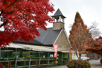 鳥居原ふれあいの館