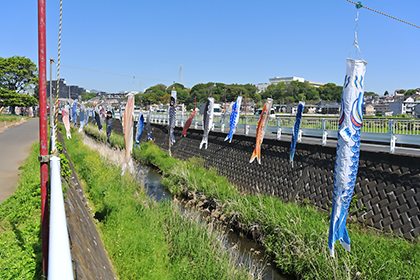 恩曽川の上