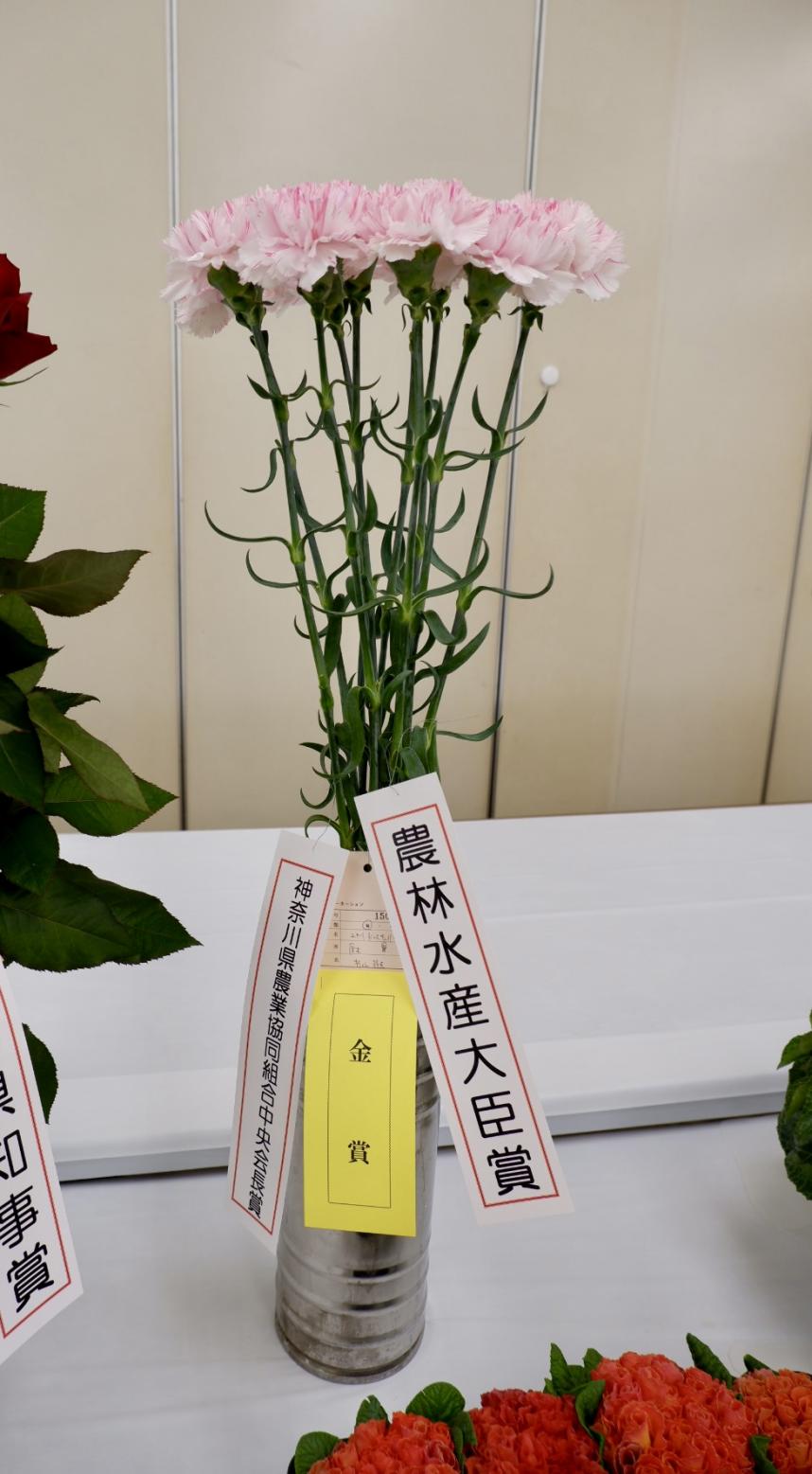 農林水産大臣賞を受賞したカーネーション