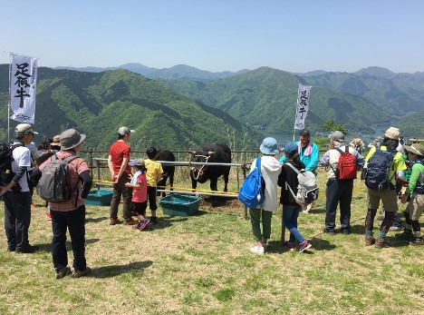 消費者に畜産に親しんでもらうよう、地域イベントに参加