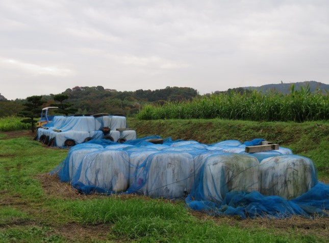 自給飼料を生産し、資源循環を図っている