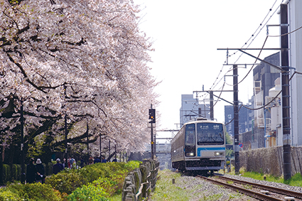 桜電車相模線