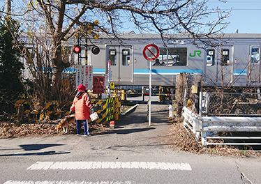 あ、電車来ちゃった・・・。