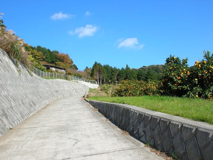 農地保全事業曽我谷津、曽我別所地区の写真