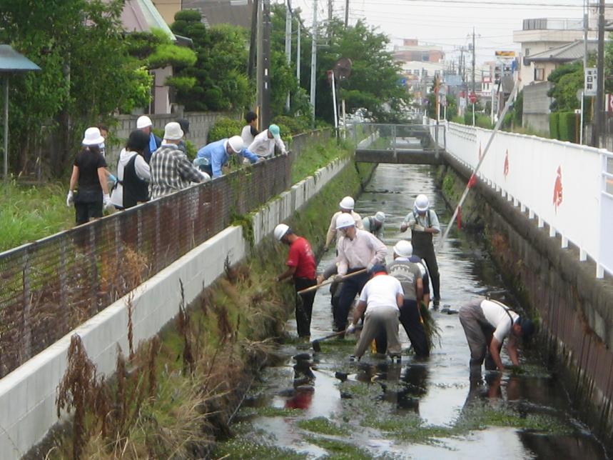 オオカナダモの除去