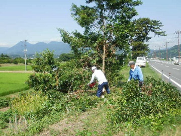 活動団体による草刈り