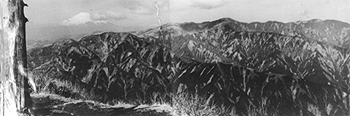 1951年の丹沢山地の状況写真