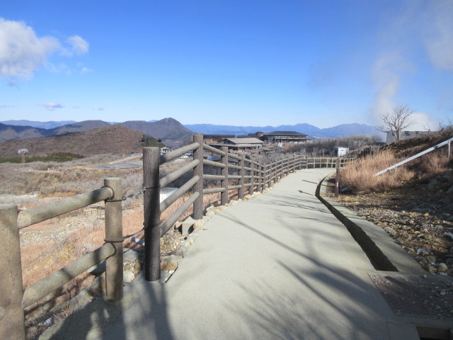 写真：自然研究路の風景