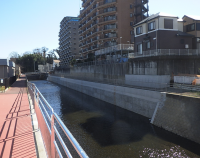 二級河川蓼川（上土棚南1丁目）河川改修工事完成写真