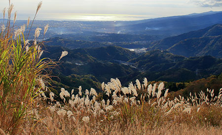 大野山山頂手前で眼下に広がる町を眺める