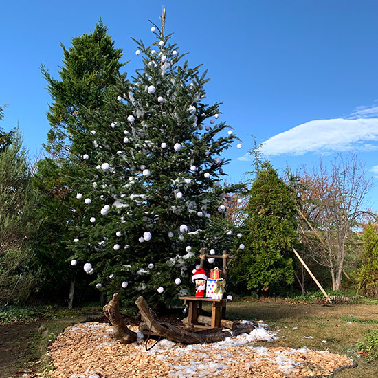 花菜ガーデン チャペックの家と彩りあふれるクリスマスの庭 神奈川県ホームページ