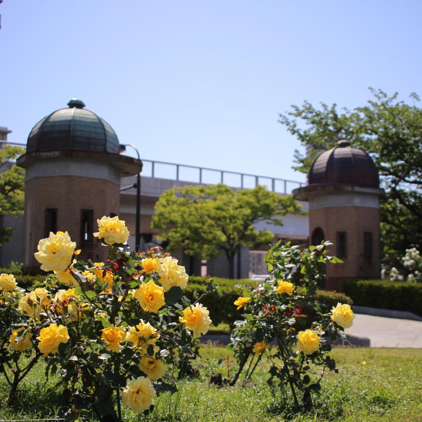 ヴェルニー公園