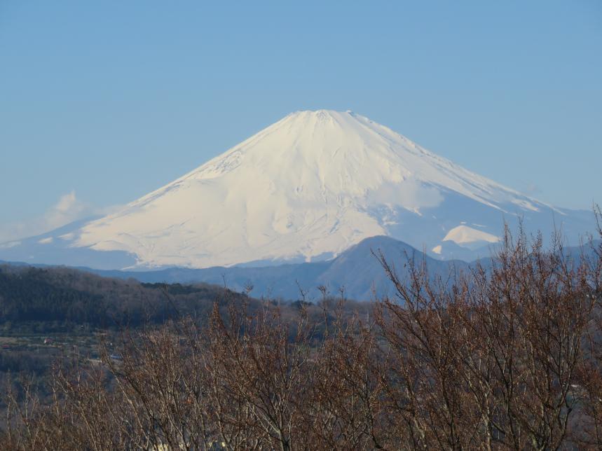 富士山