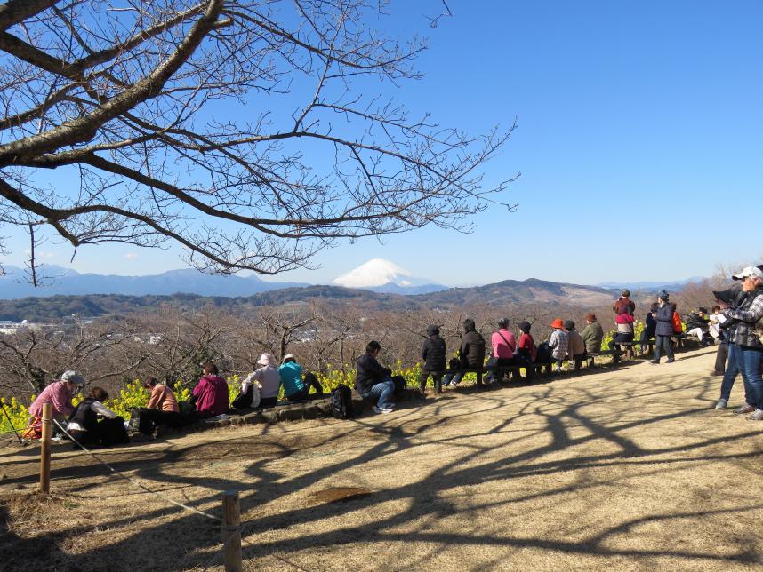 山頂の様子