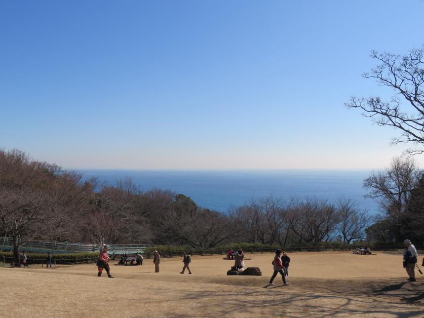 相模湾の景色　東方面