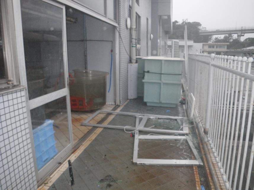 台風15号による飼育室窓ガラスの破損
