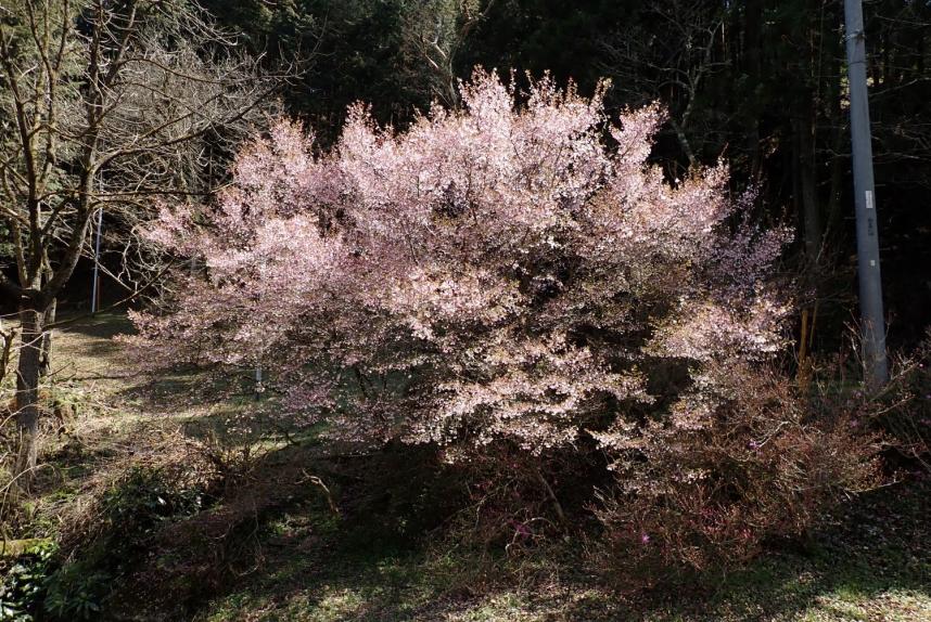 篠原登山口周辺