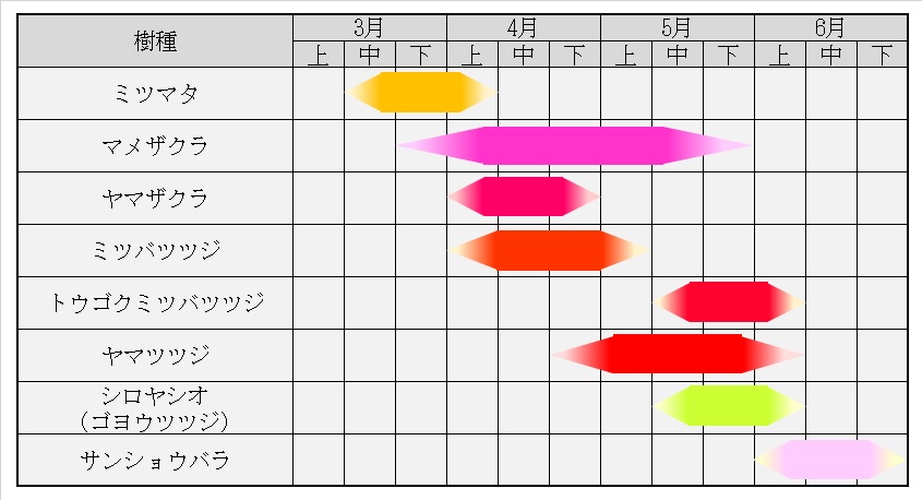 花暦2021年更新