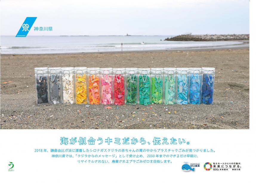 海岸や河川敷ではごみを持ち帰りましょう 神奈川県ホームページ