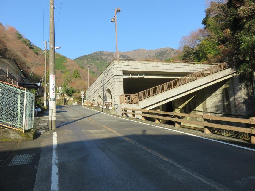 大山ケーブルバス停1