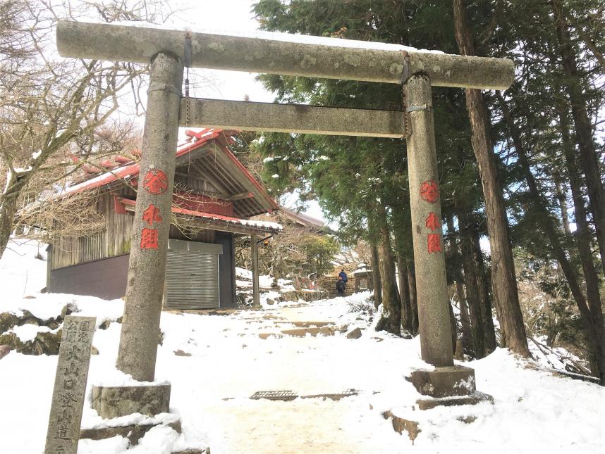 004torii