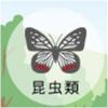 昆虫