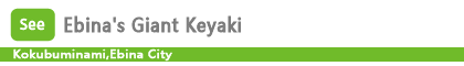 Ebina's Giant Keyaki